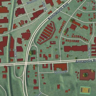 Second close-up of the map of Bladensburg, Maryland print showing more streets and buildings