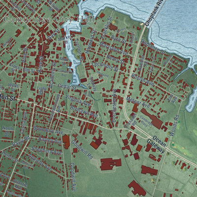 Close-up of the map of Cambridge, Maryland print showing street and building detail