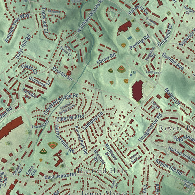 Close-up of the map of Carney, Maryland print showing street and building detail
