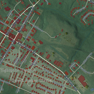 Close-up of the map of Centreville, Maryland print showing street and building detail