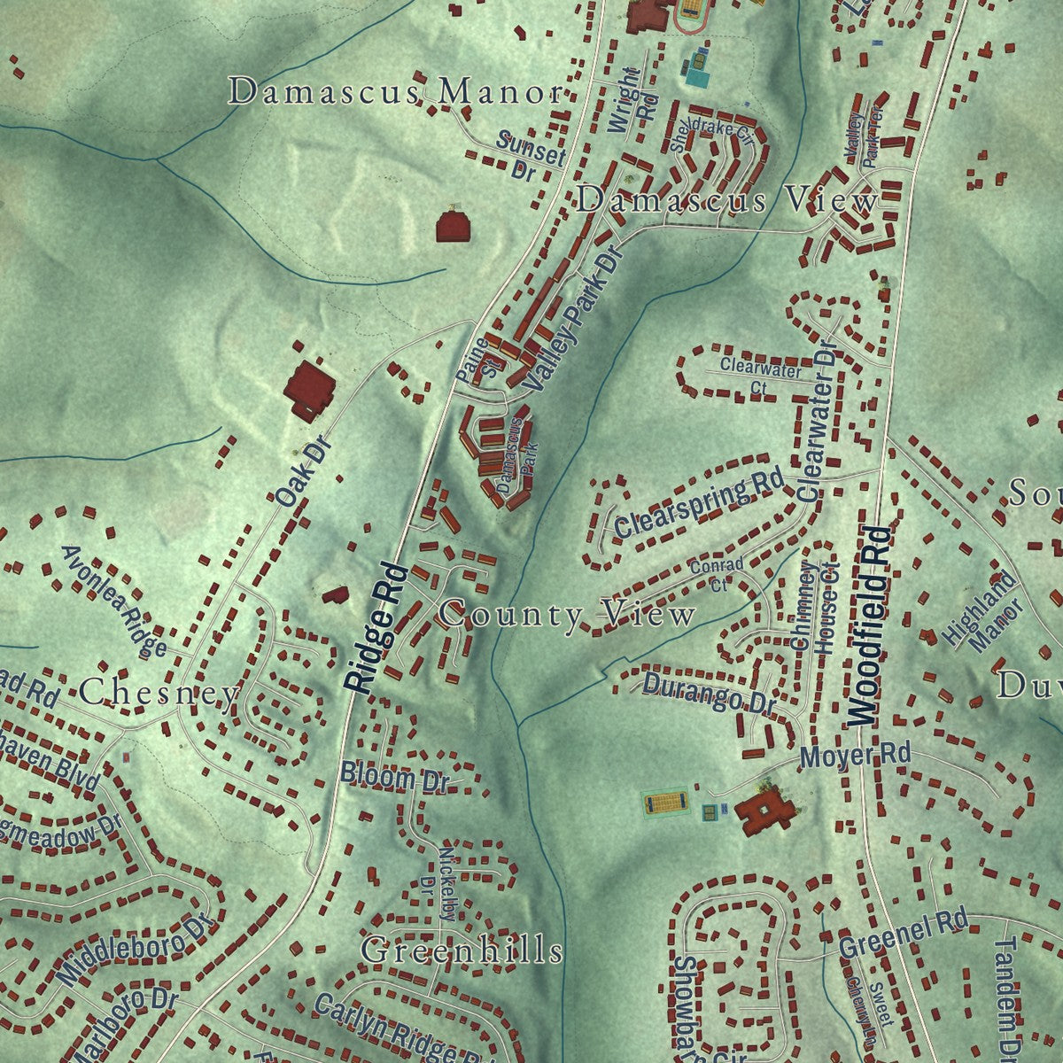 Close-up of the map of Damascus, Maryland print showing street and building detail