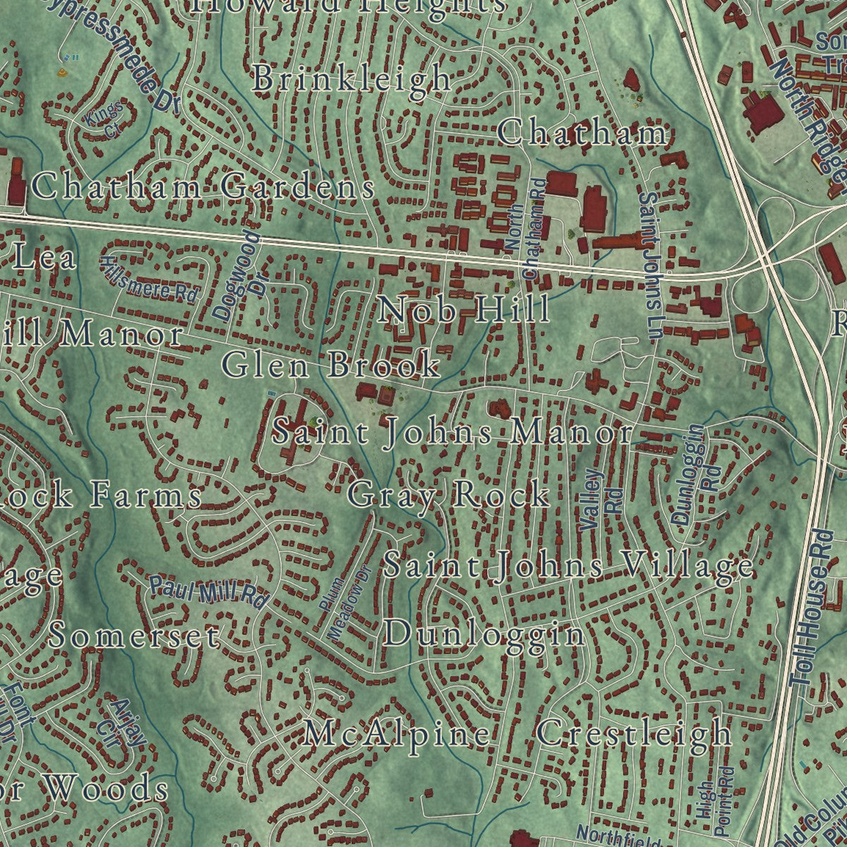 Close-up of the map of Ellicott City, Maryland print showing street and building detail