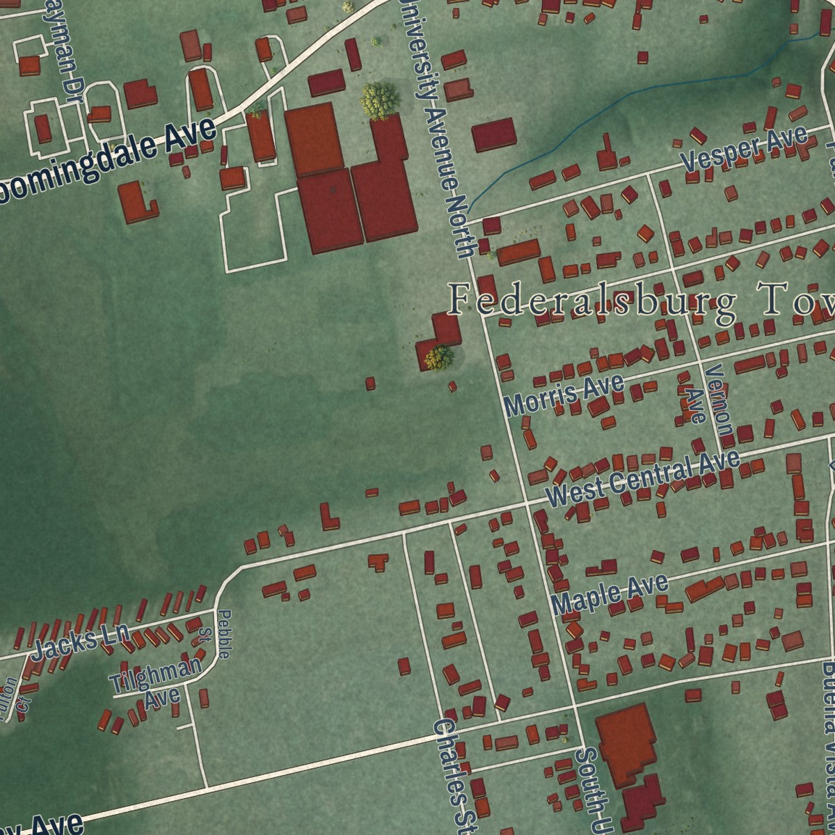 Close-up of the map of Federalsburg, Maryland print showing street and building detail