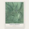 Indian Springs, Maryland map print, the full design