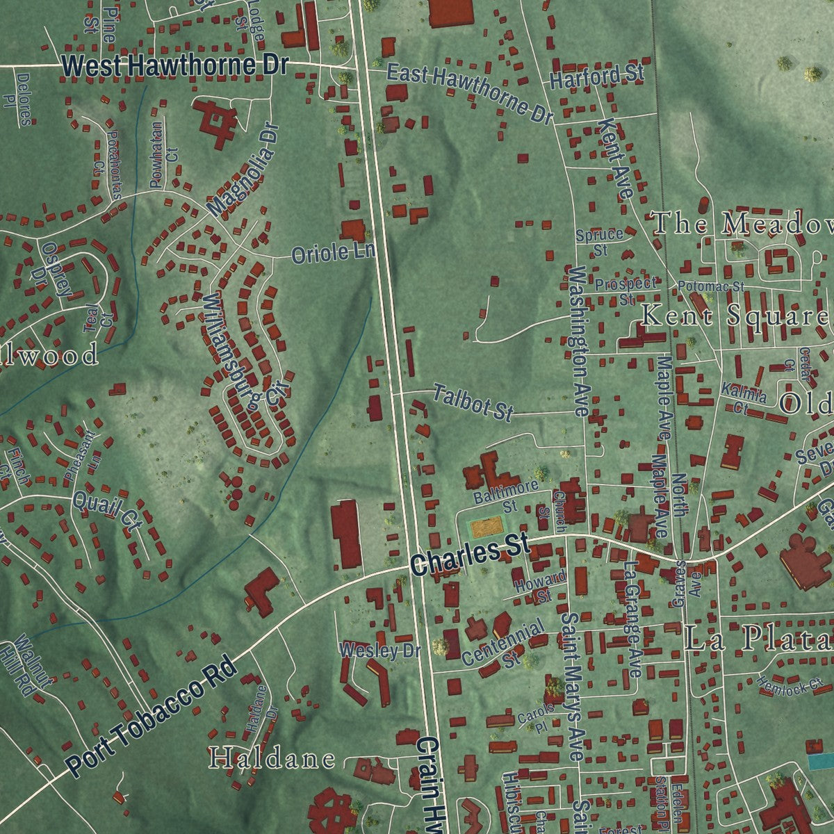 Close-up of the map of La Plata, Maryland print showing street and building detail
