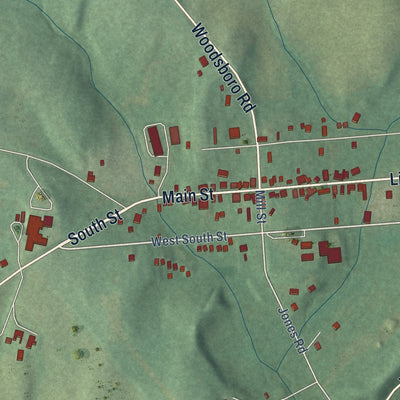 Close-up of the map of Libertytown, Maryland print showing street and building detail