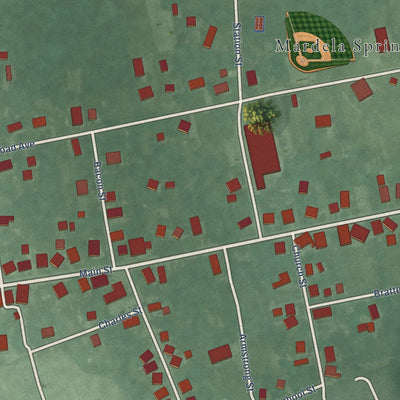Close-up of the map of Mardela Springs, Maryland print showing street and building detail