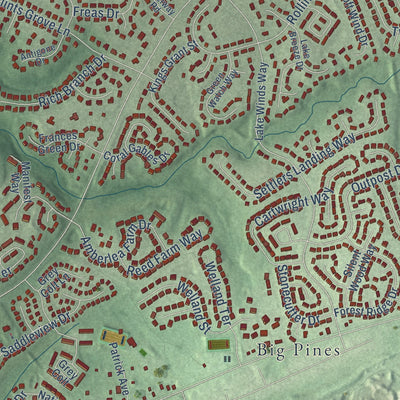 Close-up of the map of North Potomac, Maryland print showing street and building detail