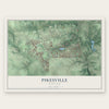 Pikesville, Maryland map print, the full design