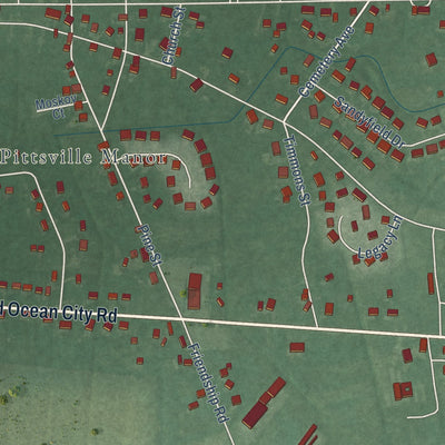 Close-up of the map of Pittsville, Maryland print showing street and building detail