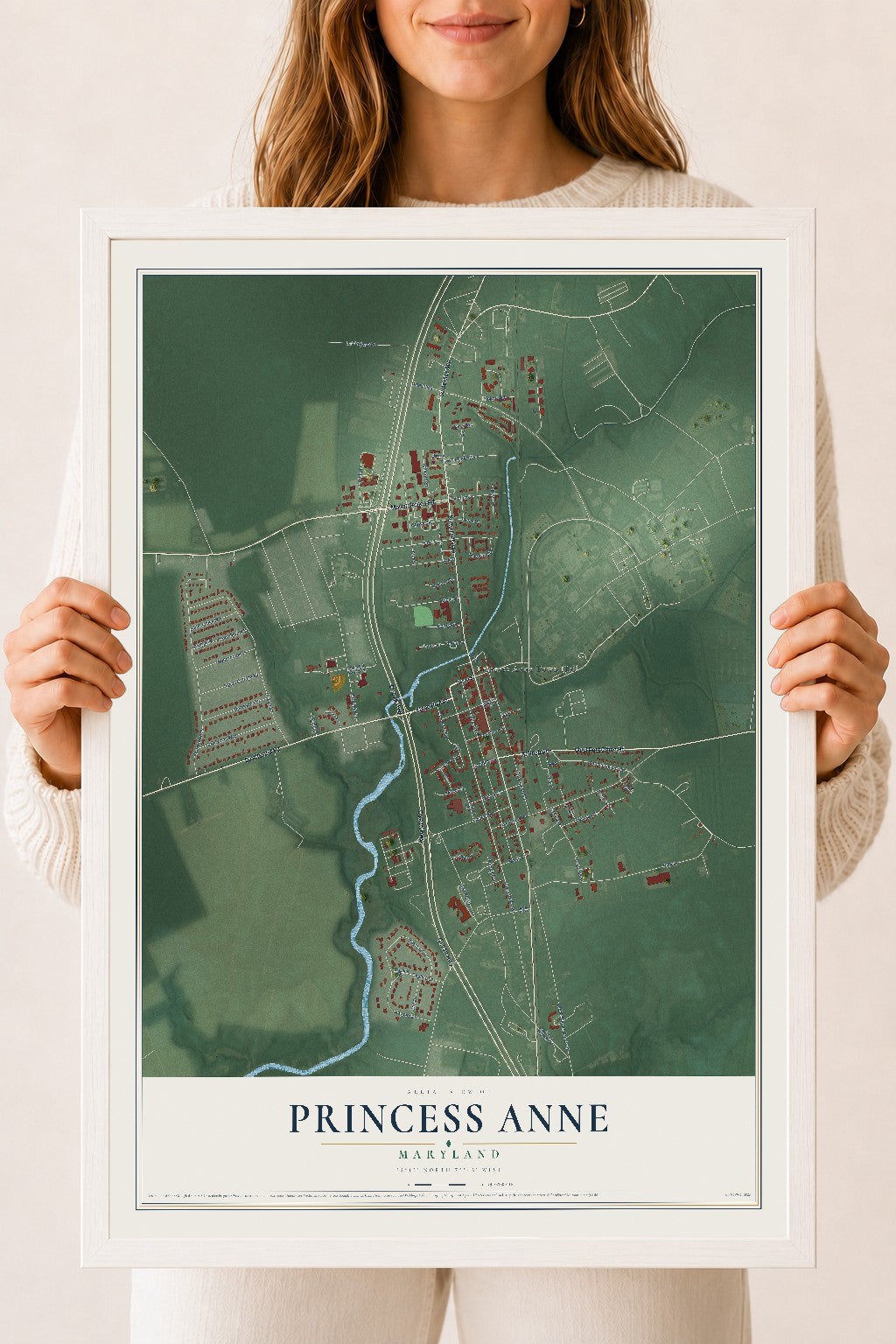 Map of Princess Anne, Maryland, 18 x 24 inch print in a white wood frame