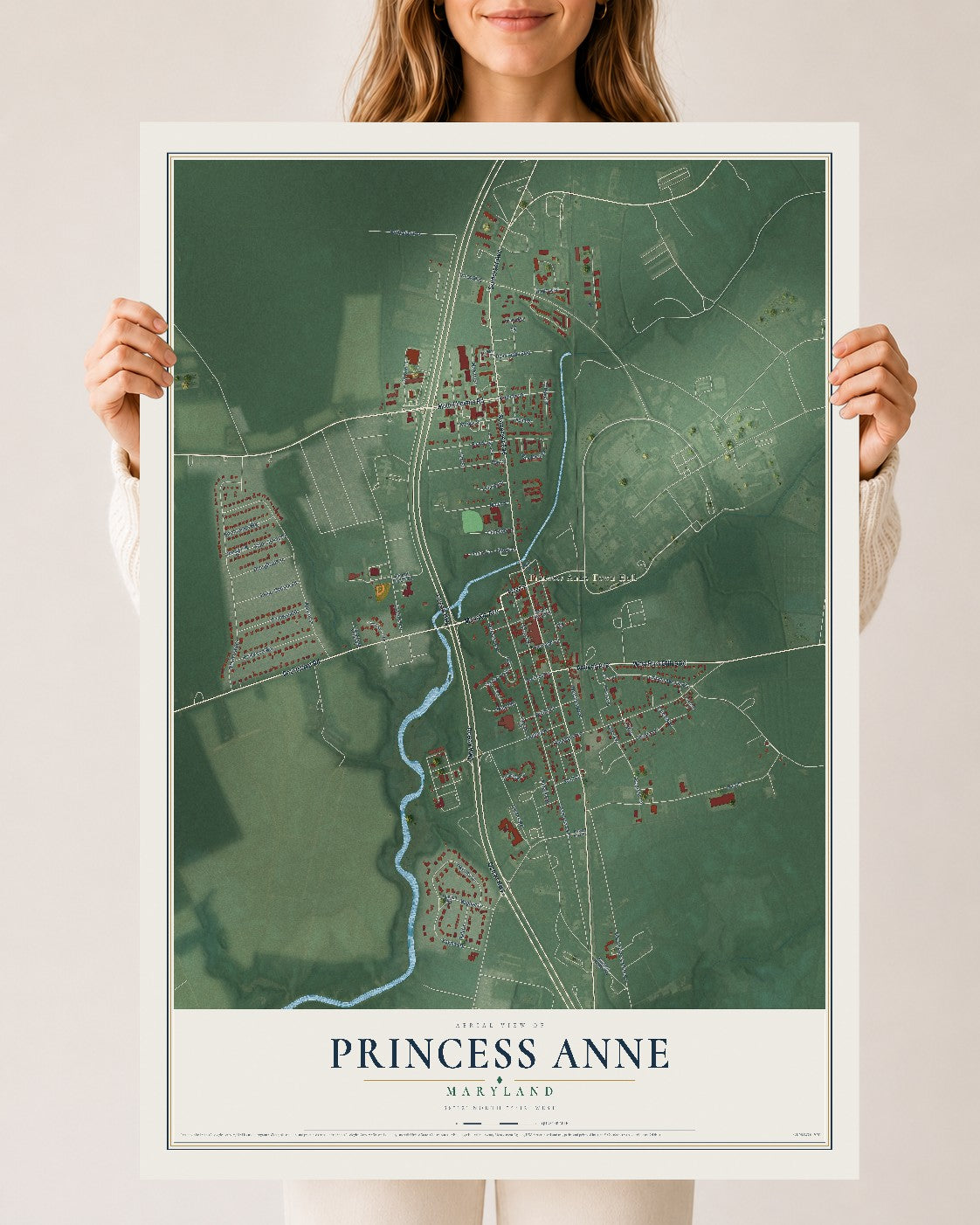 Map of Princess Anne, Maryland, 24 x 36 inch unframed archival matte print