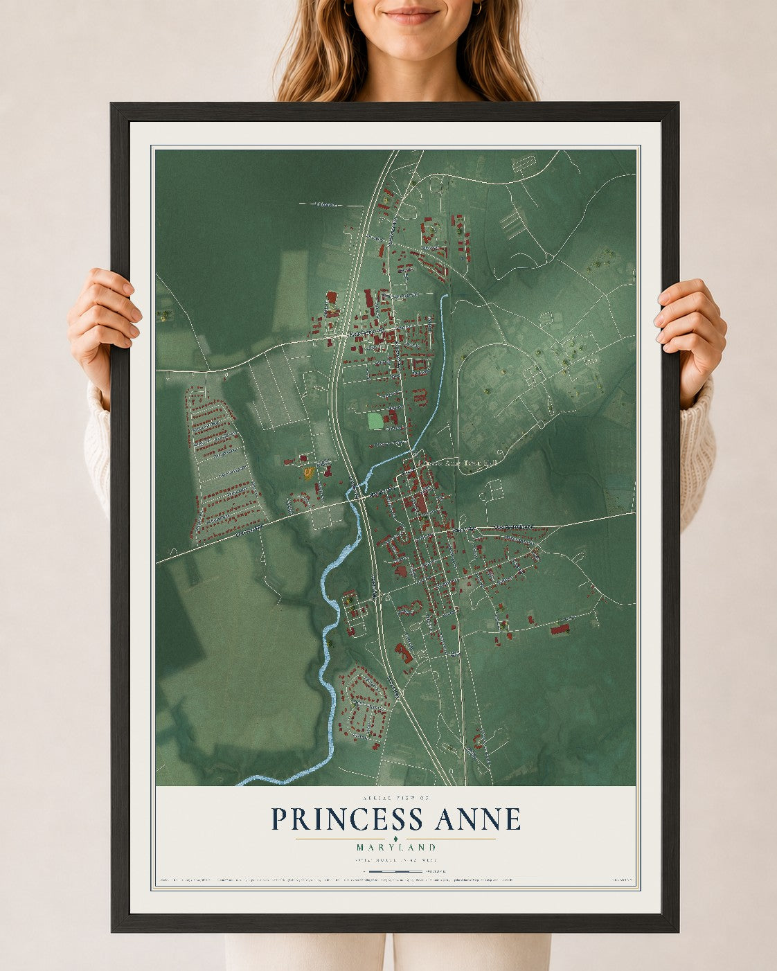 Map of Princess Anne, Maryland, 24 x 36 inch print in a black wood frame