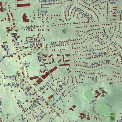 Second close-up of the map of Reisterstown, Maryland print showing more streets and buildings
