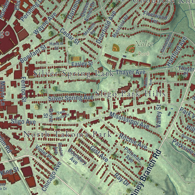 Second close-up of the map of Silver Spring, Maryland print showing more streets and buildings