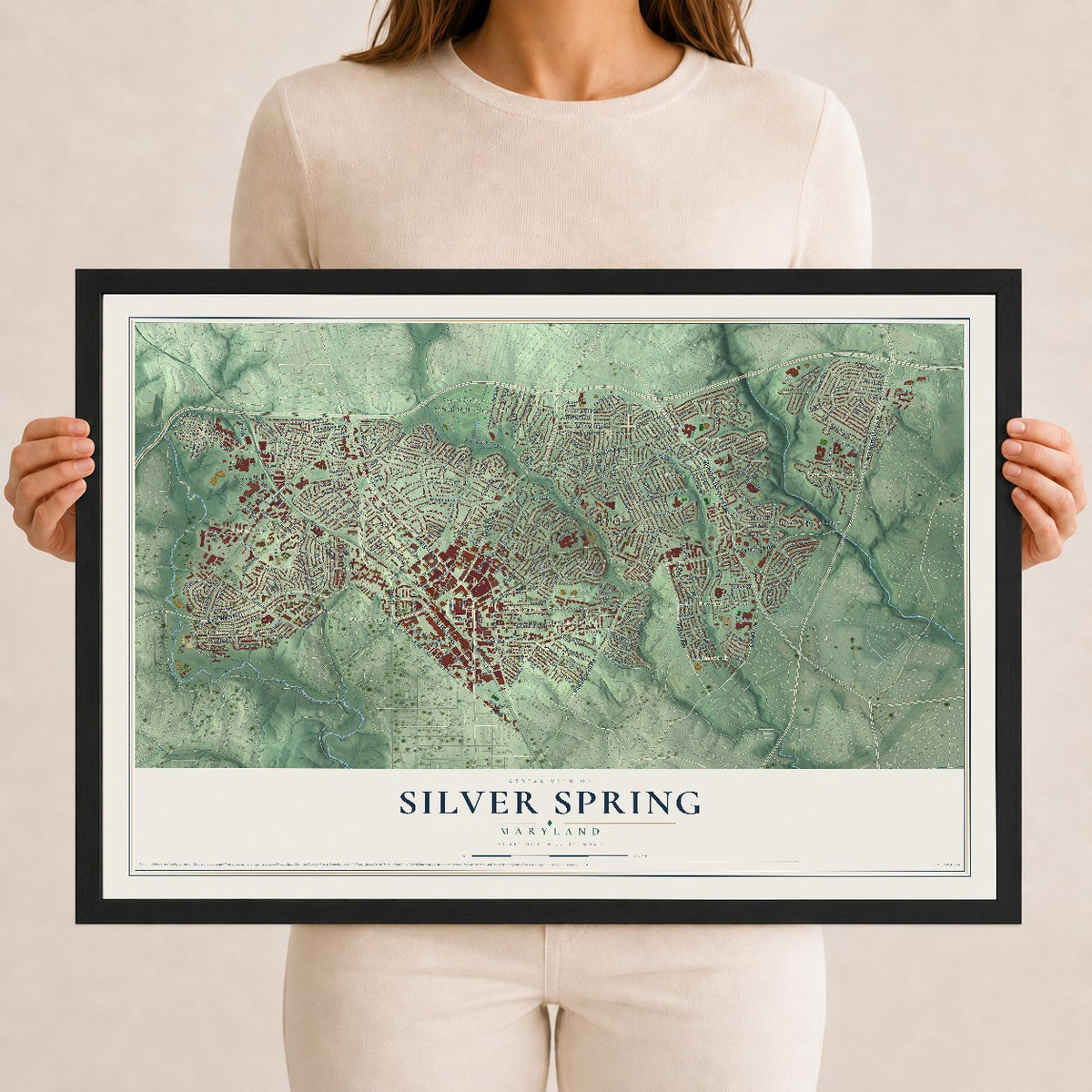 Map of Silver Spring, Maryland, 12 x 18 inch print in a black wood frame