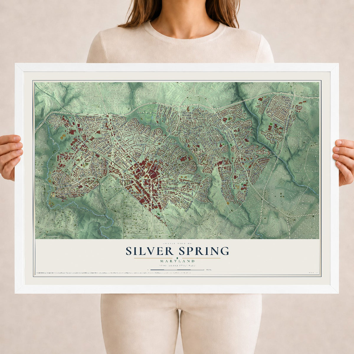 Map of Silver Spring, Maryland, 18 x 24 inch print in a white wood frame