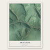 Swanton, Maryland map print, the full design
