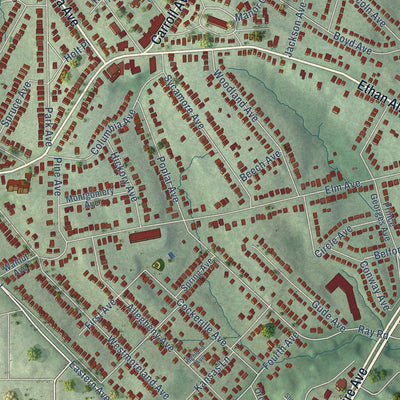 Close-up of the map of Takoma Park, Maryland print showing street and building detail