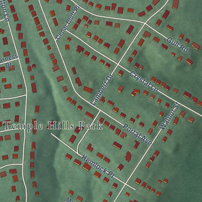 Close-up of the map of Temple Hills, Maryland print showing street and building detail
