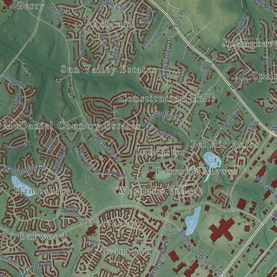 Close-up of the map of Waldorf, Maryland print showing street and building detail