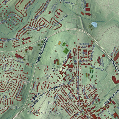 Close-up of the map of Westminster, Maryland print showing street and building detail
