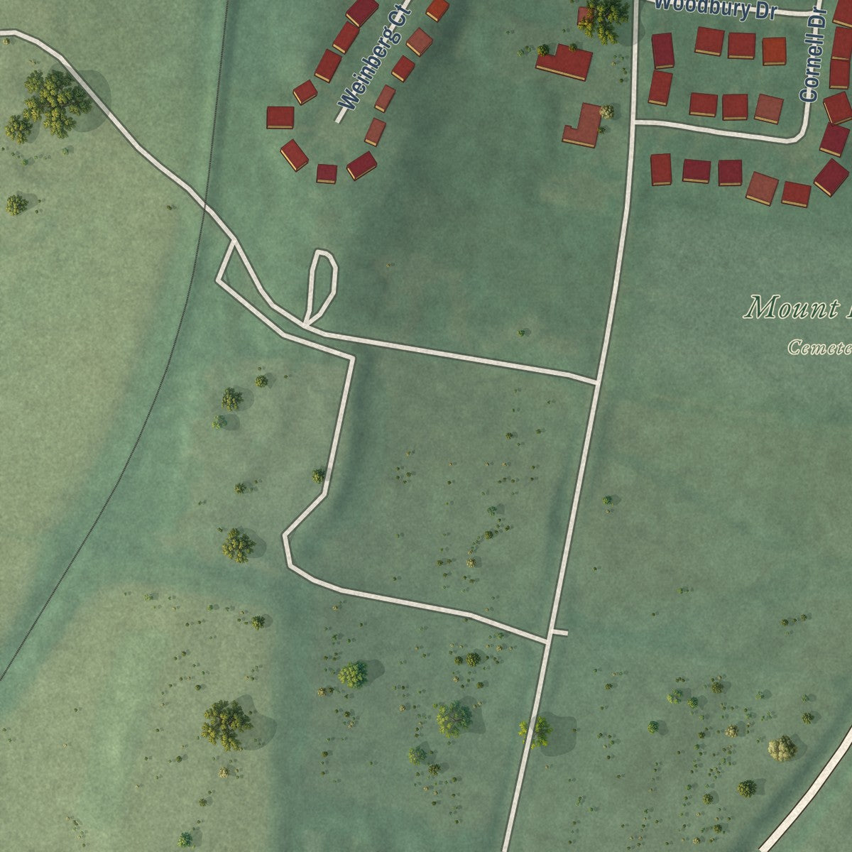 Second close-up of the map of Woodsboro, Maryland print showing more streets and buildings