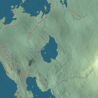 Terrain and local geography detail from the Beaver Cove, Maine map