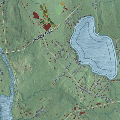 Close-up of the map of Bonny Eagle, Maine print showing street and building detail