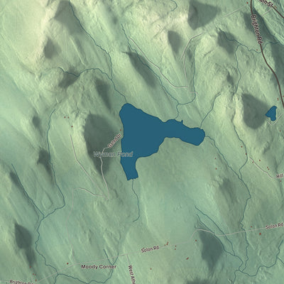 Terrain and local geography detail from the Brighton, Maine map