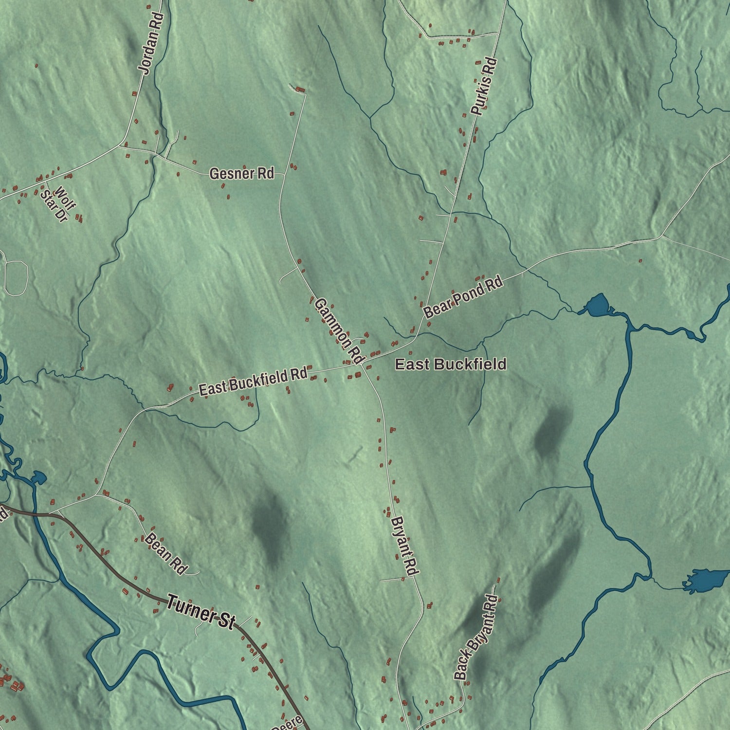 Street and neighborhood detail from the Buckfield, Maine map