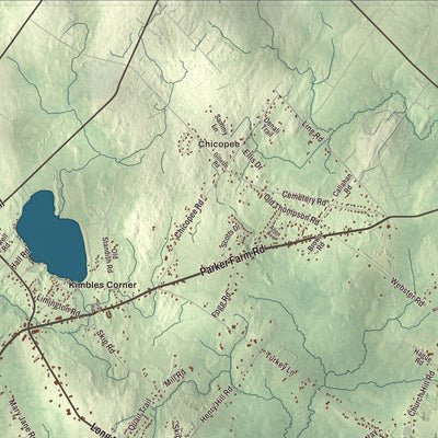 Street and neighborhood detail from the Buxton, Maine map