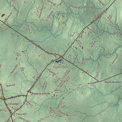 Terrain and local geography detail from the Buxton, Maine map