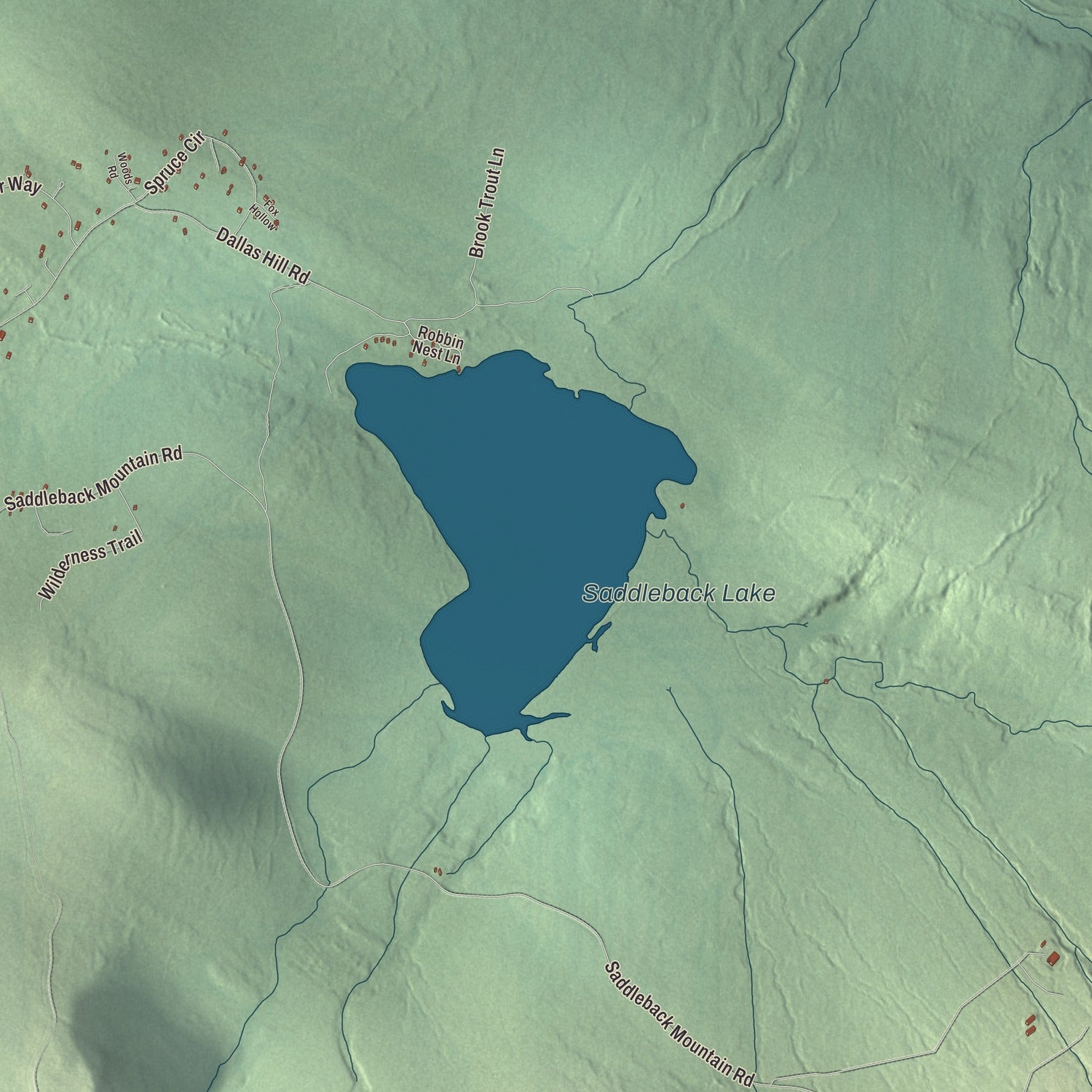 Terrain and local geography detail from the Dallas, Maine map