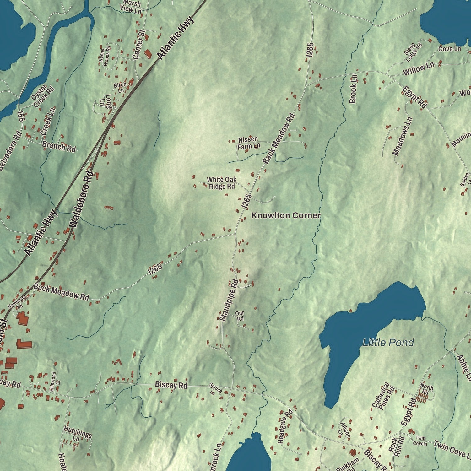 Street and neighborhood detail from the Damariscotta, Maine map