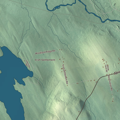 Street and neighborhood detail from the Danforth, Maine map