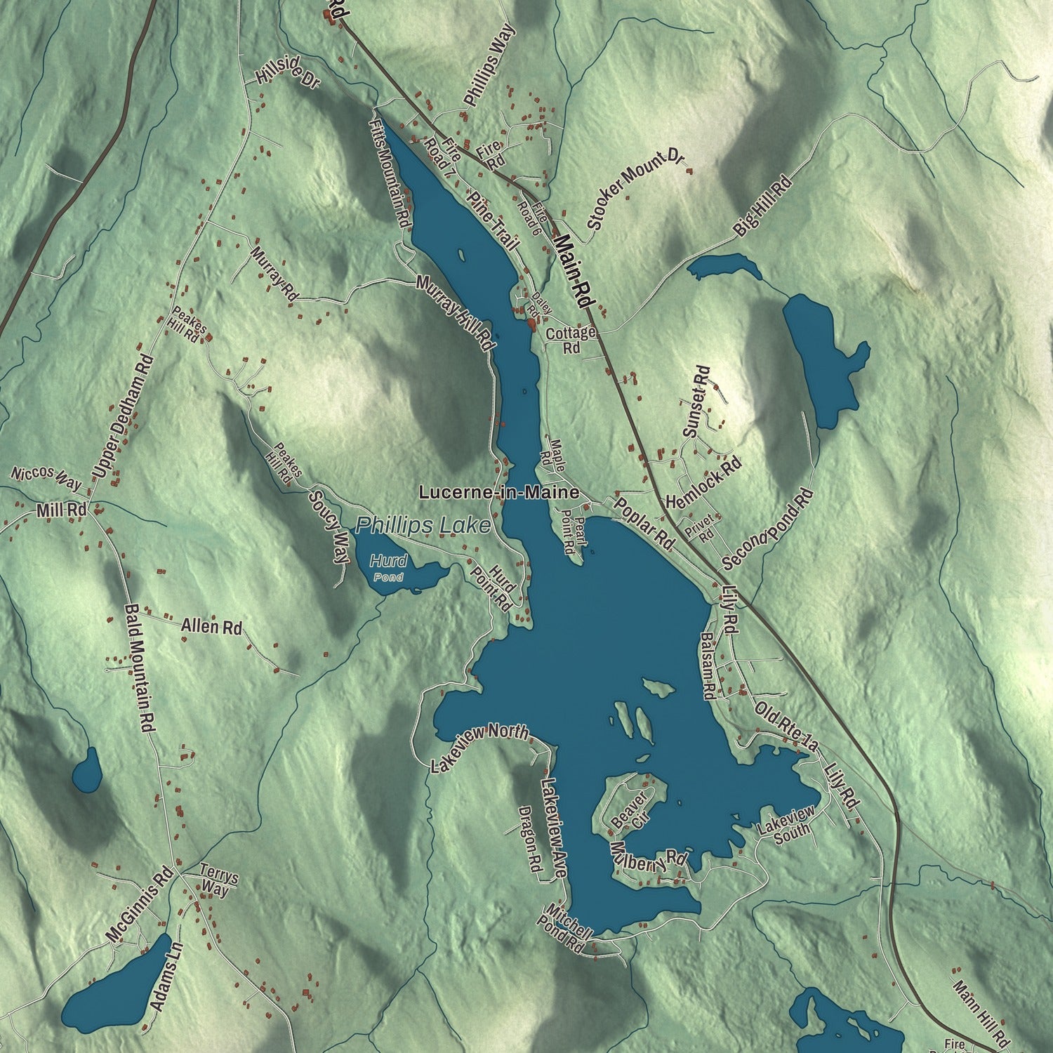 Terrain and local geography detail from the Dedham, Maine map