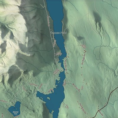 Terrain and local geography detail from the Denmark, Maine map