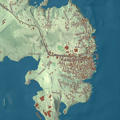 Street and neighborhood detail from the Eastport, Maine map