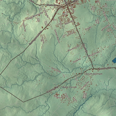 Street and neighborhood detail from the Gorham, Maine map
