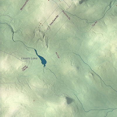 Terrain and local geography detail from the Grand Isle, Maine map