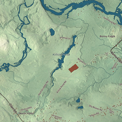 Terrain and local geography detail from the Hollis, Maine map