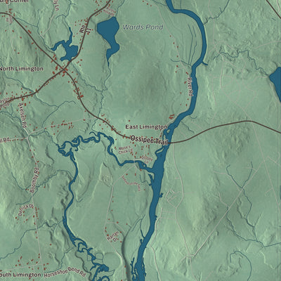 Street and neighborhood detail from the Limington, Maine map