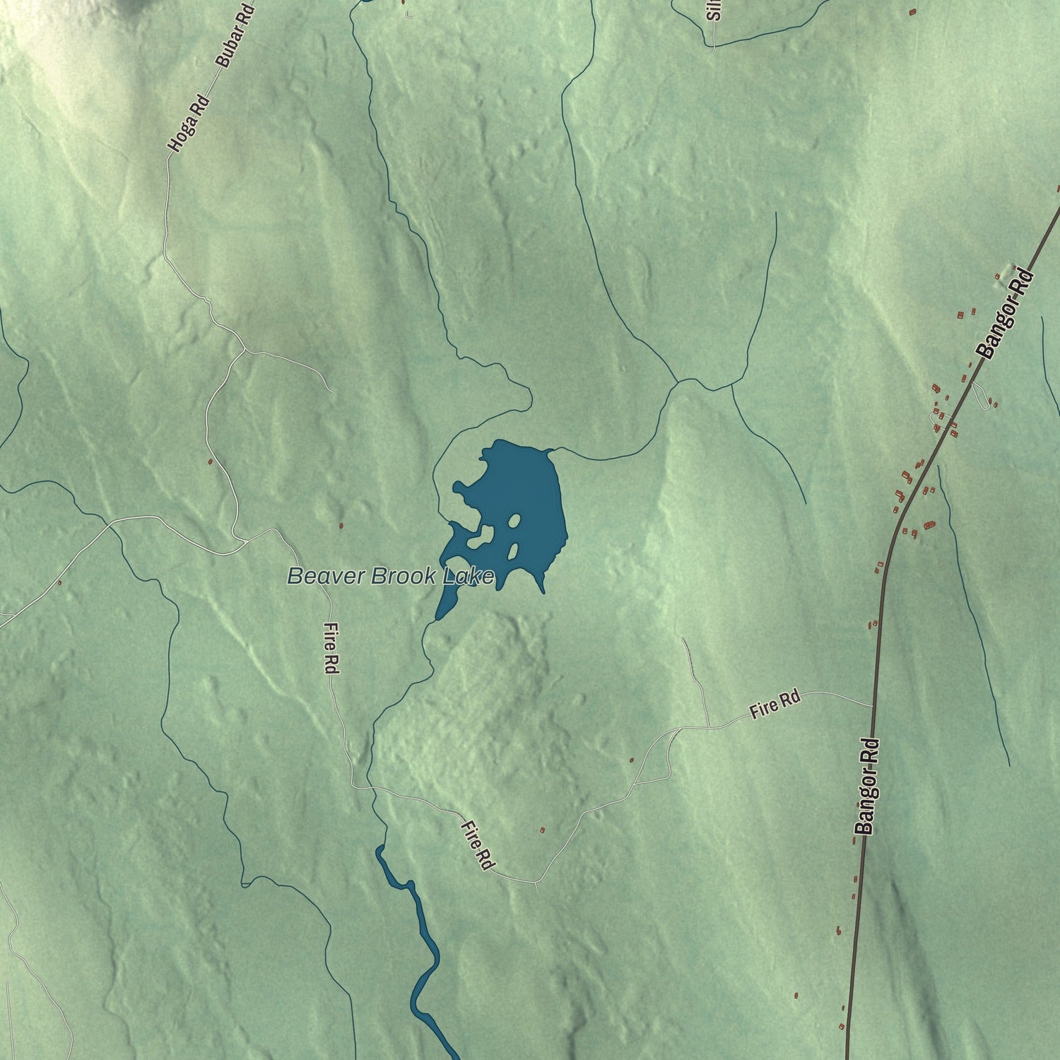 Terrain and local geography detail from the Linneus, Maine map