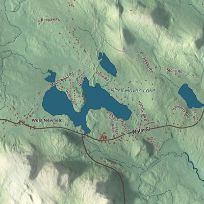Terrain and local geography detail from the Newfield, Maine map