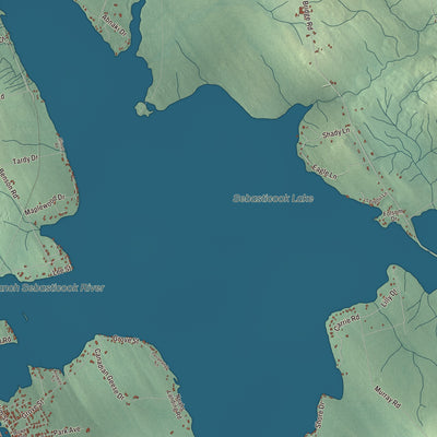 Terrain and local geography detail from the Newport, Maine map