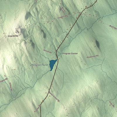 Street and neighborhood detail from the Parkman, Maine map