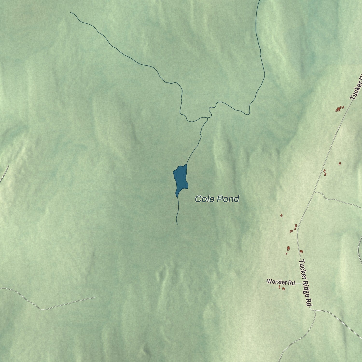 Terrain and local geography detail from the Webster, Maine map