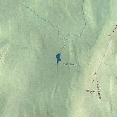 Terrain and local geography detail from the Webster, Maine map