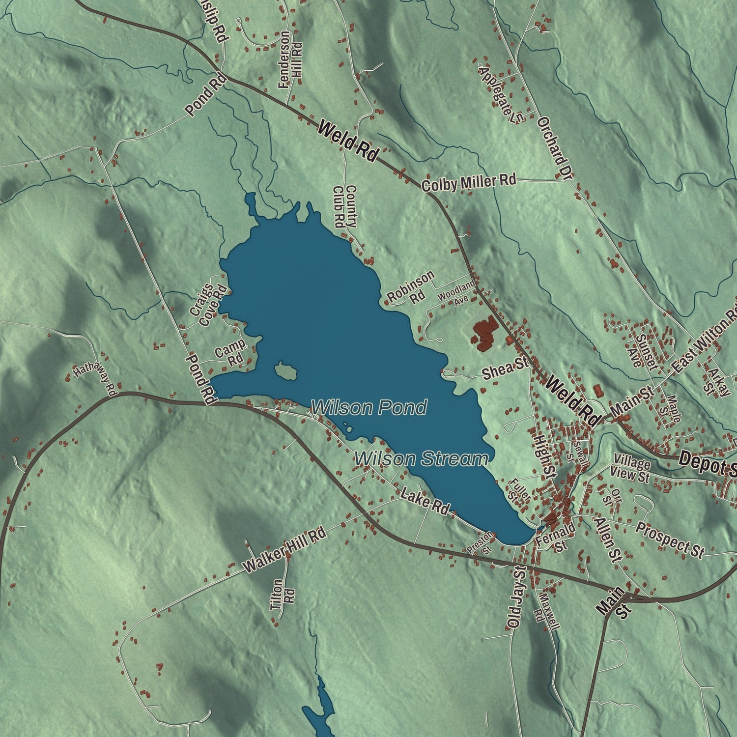 Terrain and local geography detail from the Wilton, Maine map